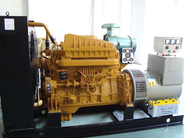 朗县有哪些有效的方法可以预防柴油发电机组的蓄电池出现硫化现象？